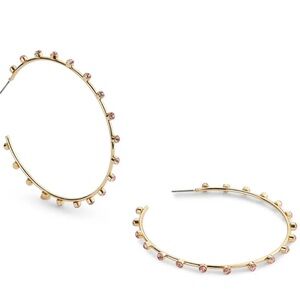 Park Lane Guava Earrings